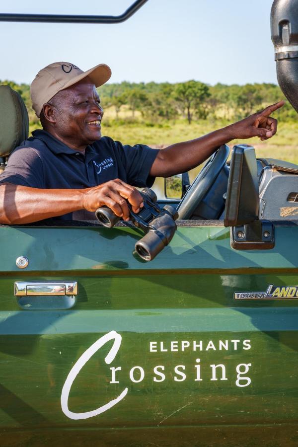 Elephants Crossing 벨게본든 수렵 금지 구역 외부 사진